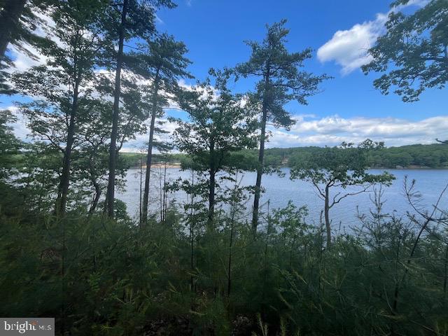 Southwood Drive-, Waterfront, Cross Junction, VA 22625