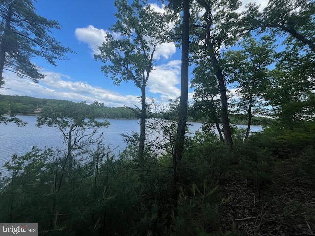 Southwood Drive-, Waterfront, Cross Junction, VA 22625