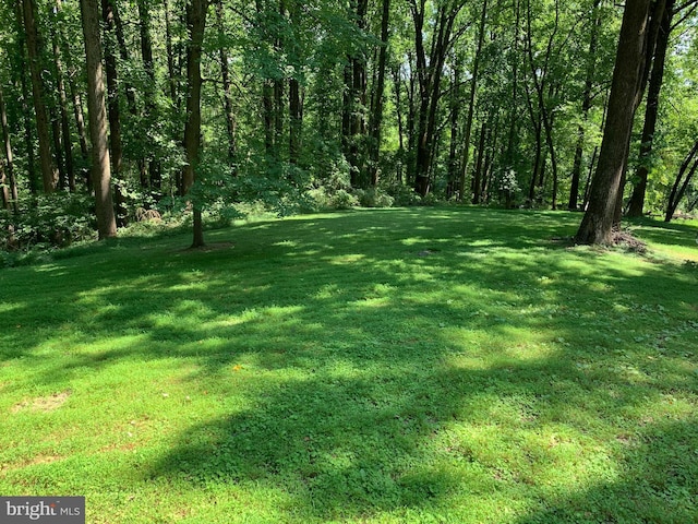 4105 Holbrook Rd, Randallstown, MD 21133 - view of green lawn