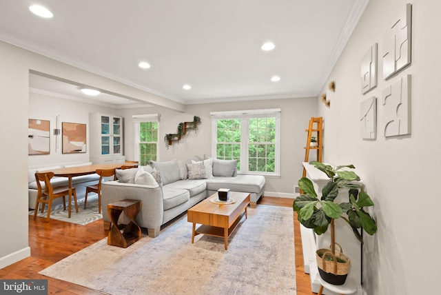 2455 Alsop Ct, Reston, VA 20191 - living area featuring light wood-type flooring, ornamental molding, recessed lighting, and baseboards