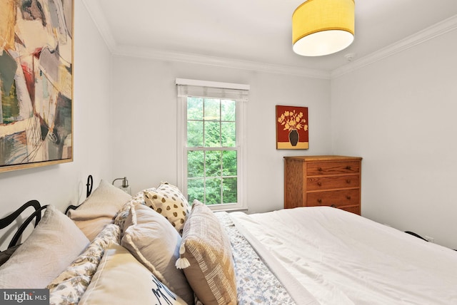 2455 Alsop Ct, Reston, VA 20191 - bedroom featuring crown molding