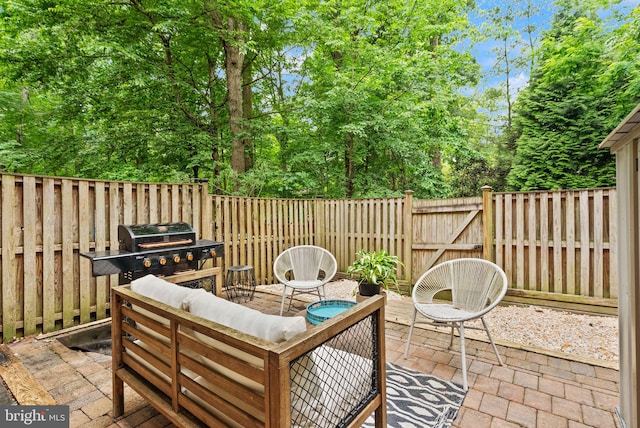 2455 Alsop Ct, Reston, VA 20191 - fenced backyard featuring a patio area, a grill, and an outdoor hangout area