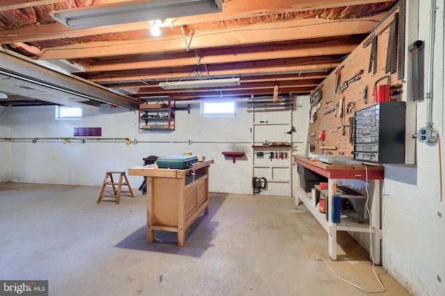 2 Kings Ct, Gordonville, PA 17529 - below grade area with a workshop area