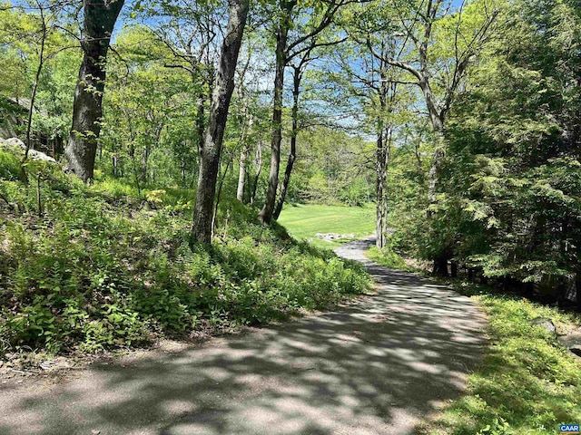15 Trillium Close, Wintergreen Resort, VA 22967 - view of street with a forest view
