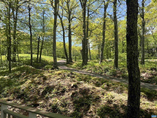 15 Trillium Close, Wintergreen Resort, VA 22967 - view of undeveloped land