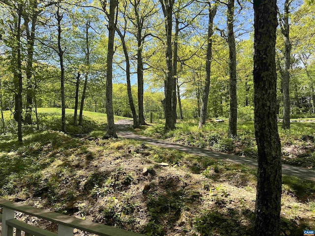 15 Trillium Close, Wintergreen Resort, VA 22967 - view of undeveloped land
