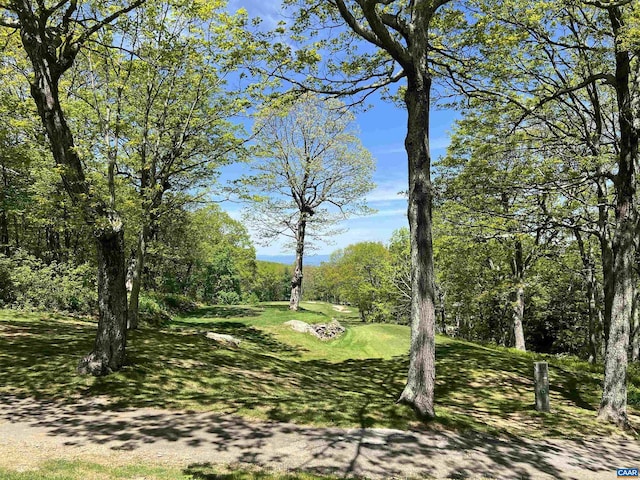 15 Trillium Close, Wintergreen Resort, VA 22967 - view of home's community