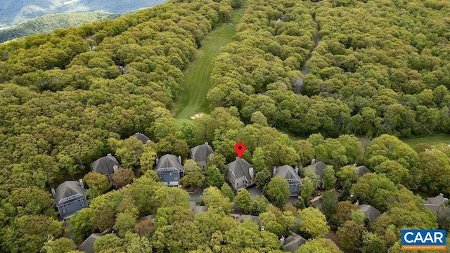 15 Trillium Close, Wintergreen Resort, VA 22967 - view of property location with a forest