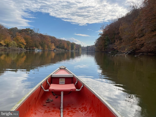 10200 Souza Ln, Manassas, VA 20111 - dock featuring a view of trees and a water view
