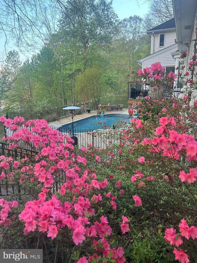 10200 Souza Ln, Manassas, VA 20111 - view of pool