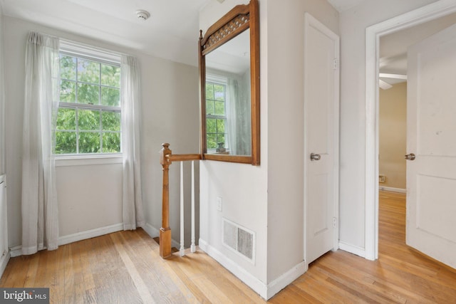 2029 Norhurst Way S, Baltimore, MD 21228 - hall with light wood finished floors, plenty of natural light, and baseboards