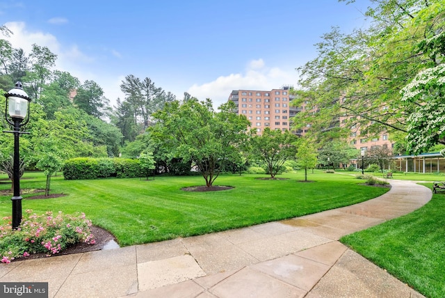4201 Cathedral Ave NW Unit 918W, Washington, DC 20016 - view of property's community with a yard