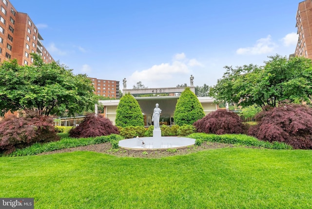 4201 Cathedral Ave NW Unit 918W, Washington, DC 20016 - view of grassy yard