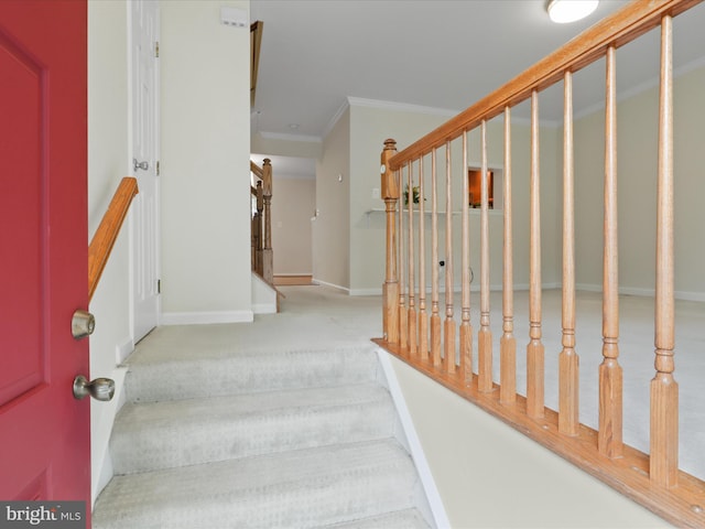 10612 Winfield Loop, Manassas, VA 20109 - stairway featuring ornamental molding, carpet, and baseboards