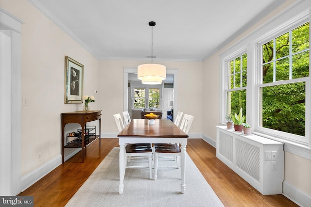 1937 38th St NW, Washington, DC 20007 - dining area with wood finished floors, ornamental molding, and radiator