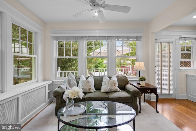 1937 38th St NW, Washington, DC 20007 - sunroom featuring radiator heating unit