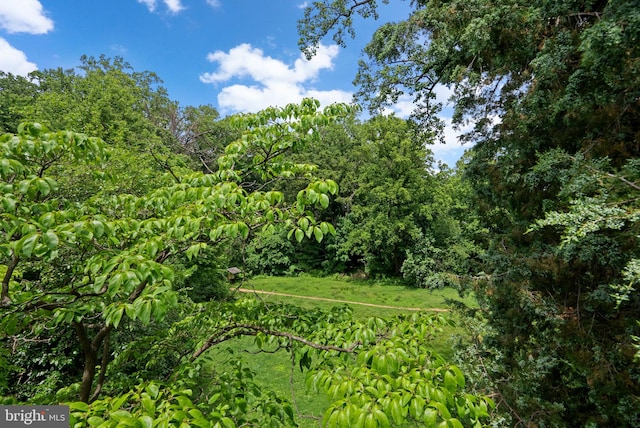 1937 38th St NW, Washington, DC 20007 - view of nature