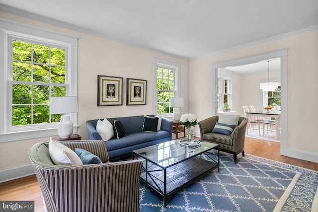 1937 38th St NW, Washington, DC 20007 - living room with wood finished floors and ornamental molding