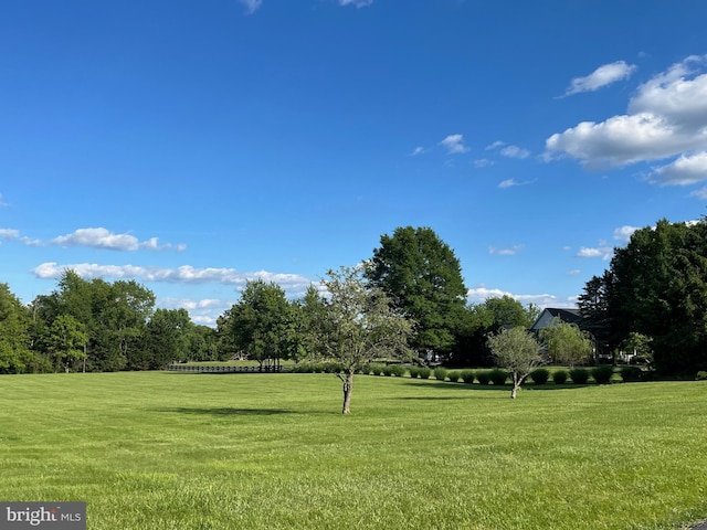 241 Clayhill Dr, Winchester, VA 22602 - surrounding community featuring a yard