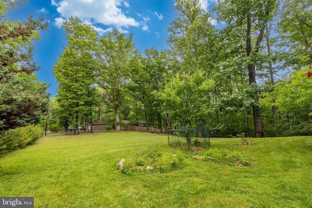 22 Berry Ln, Harpers Ferry, WV 25425 - view of yard
