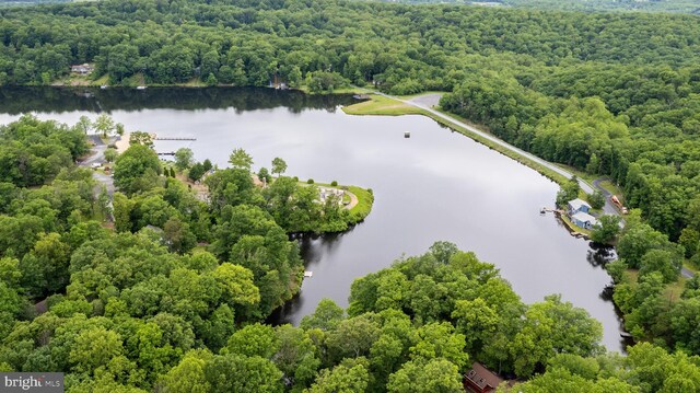 22 Berry Ln, Harpers Ferry, WV 25425 - bird's eye view of a nearby body of water and a heavily wooded area