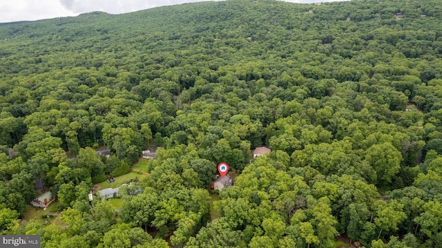 22 Berry Ln, Harpers Ferry, WV 25425 - bird's eye view of a forest and mountains