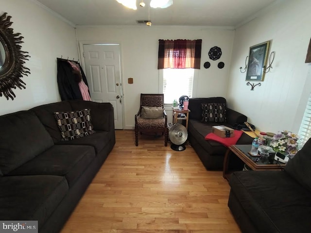 427 Camper St, Cambridge, MD 21613 - living room featuring light wood-style floors and ornamental molding