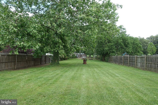 413 Dominion Rd, Chester, MD 21619 - view of yard