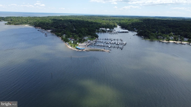 336 Bar Harbor Rd, Pasadena, MD 21122 - aerial view of a nearby body of water and a heavily wooded area
