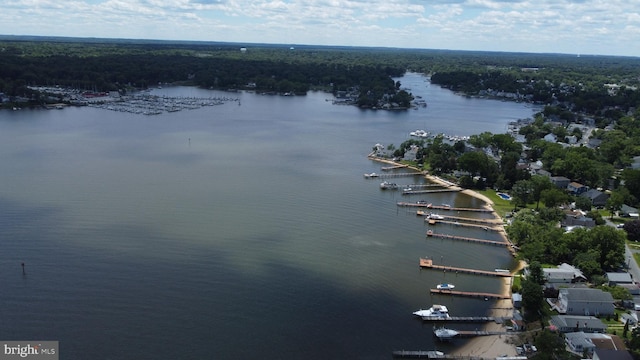 336 Bar Harbor Rd, Pasadena, MD 21122 - view of property location with a nearby body of water, numerous boat docks, and a heavily wooded area