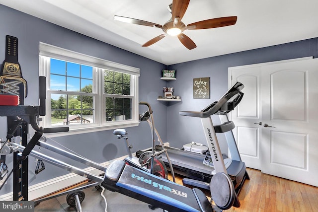 199 Applegate, Hamilton, NJ 08690 - exercise area featuring a ceiling fan and wood finished floors