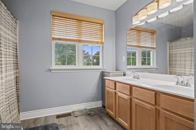 545 Lawrence Corner Rd, Pittsgrove, NJ 08318 - full bathroom featuring plenty of natural light, double vanity, baseboards, and wood finished floors