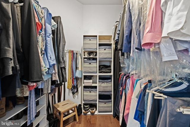 545 Lawrence Corner Rd, Pittsgrove, NJ 08318 - walk in closet featuring wood finished floors