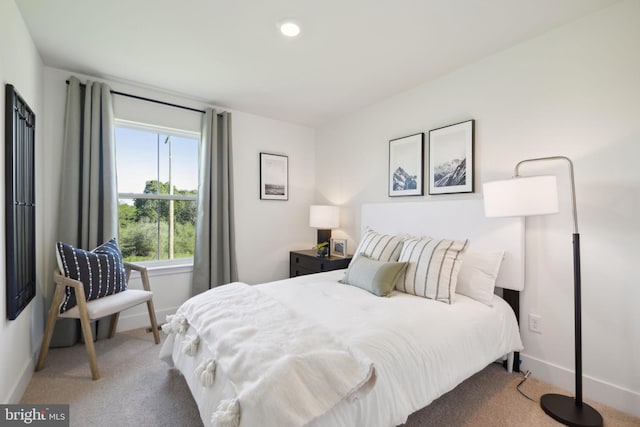 112 Pomo Ln, Winchester, VA 22602 - carpeted bedroom with baseboards and recessed lighting