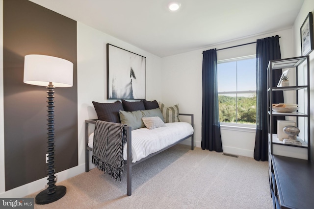 112 Pomo Ln, Winchester, VA 22602 - carpeted bedroom with baseboards and recessed lighting