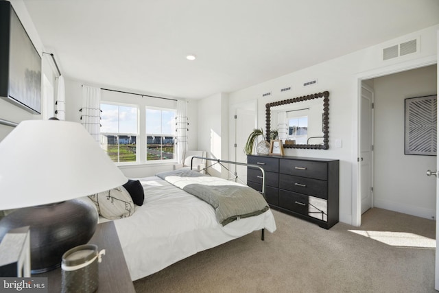 112 Pomo Ln, Winchester, VA 22602 - bedroom featuring carpet and baseboards