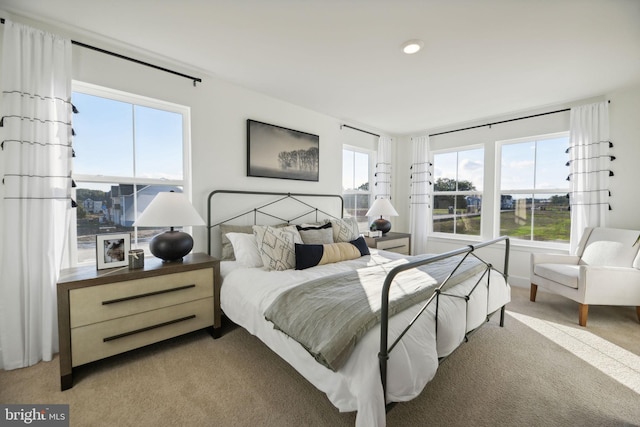 112 Pomo Ln, Winchester, VA 22602 - carpeted bedroom featuring multiple windows