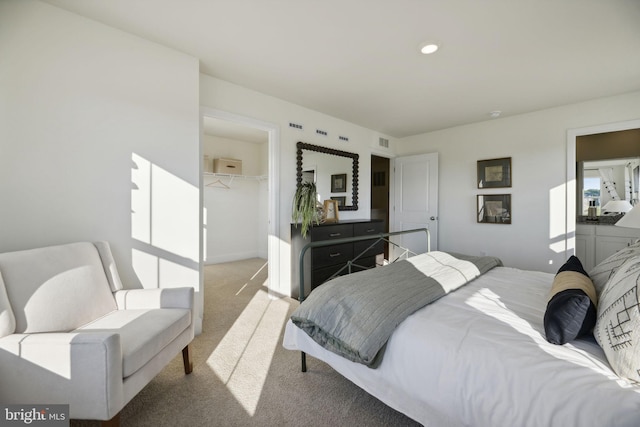 112 Pomo Ln, Winchester, VA 22602 - carpeted bedroom with a spacious closet and a closet