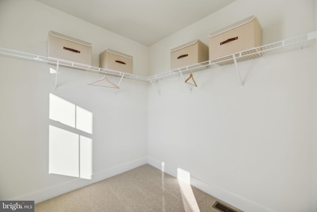 112 Pomo Ln, Winchester, VA 22602 - spacious closet featuring carpet floors