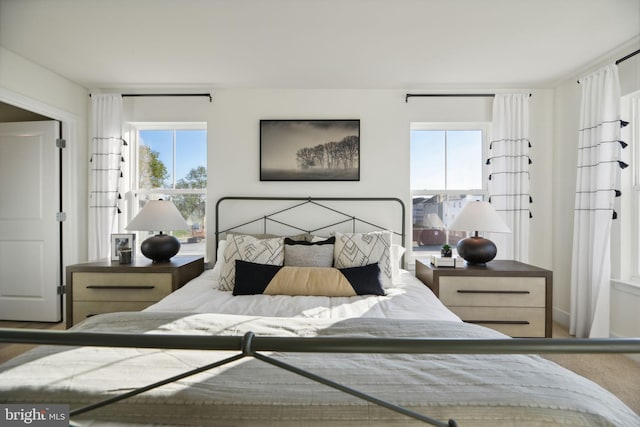 112 Pomo Ln, Winchester, VA 22602 - view of bedroom