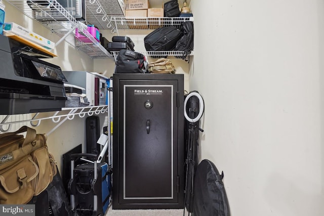 9977 Mallow Ct, Manassas, VA 20110 - view of walk in closet