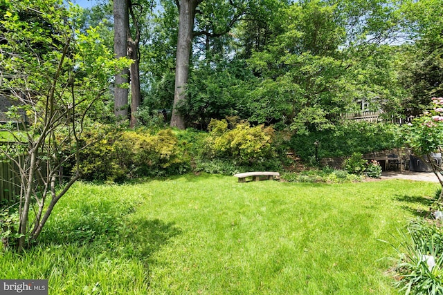 8008 Park Crest Dr, Silver Spring, MD 20910 - view of yard