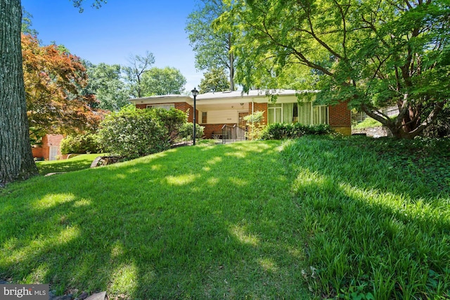 8008 Park Crest Dr, Silver Spring, MD 20910 - view of green lawn