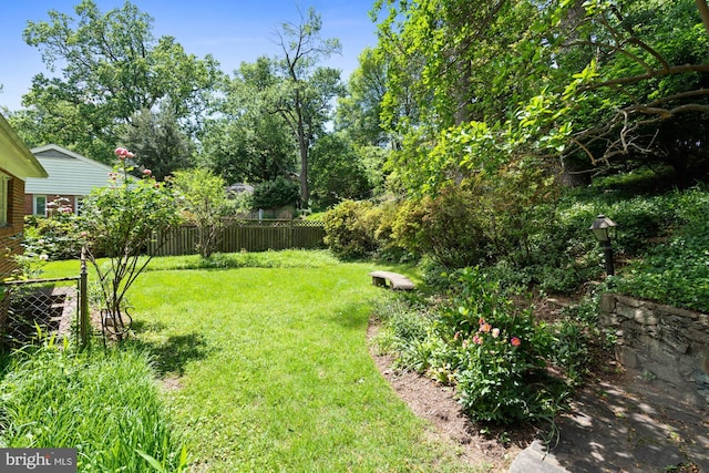 8008 Park Crest Dr, Silver Spring, MD 20910 - view of yard