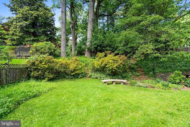8008 Park Crest Dr, Silver Spring, MD 20910 - view of yard
