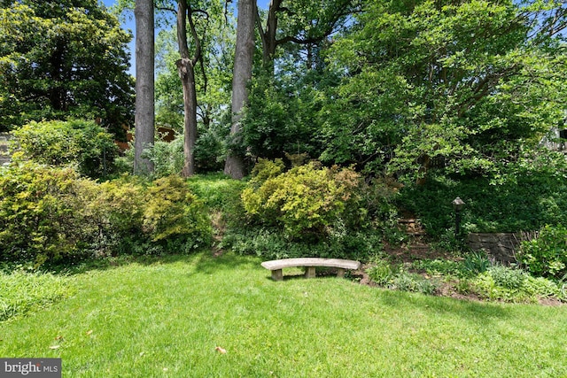 8008 Park Crest Dr, Silver Spring, MD 20910 - view of grassy yard