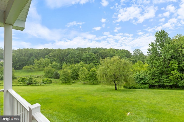 5353 Walkerwood Ct, Manchester, MD 21102 - view of green lawn