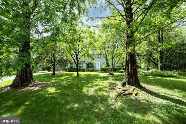 2256 Georgetown Dr, Malvern, PA 19355 - view of green lawn