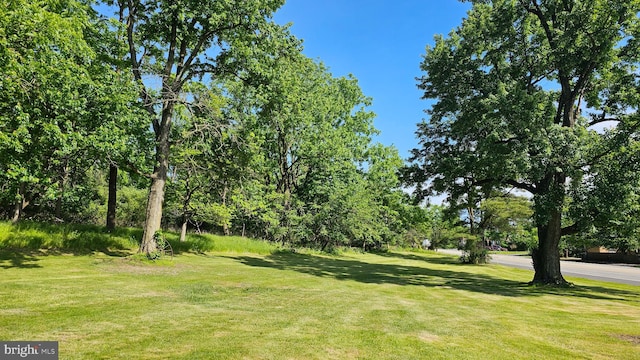 3209 E Harrisburg Pike, Middletown, PA 17057 - view of grassy yard
