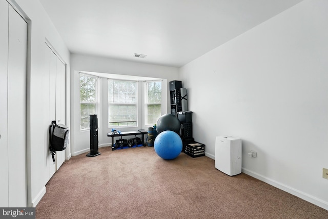 113 Timberlake Ter Unit 12, Stephens City, VA 22655 - exercise area with carpet floors and baseboards
